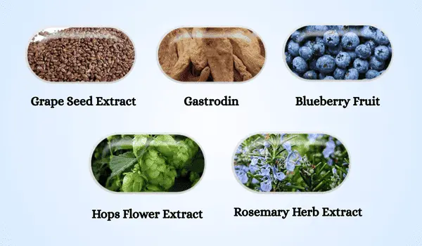 Ikaria Lean Belly Juice cognigen plus ingredients